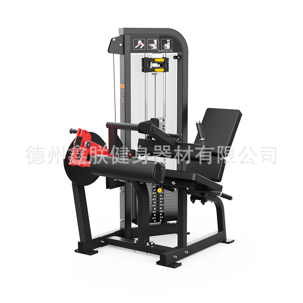 짐 해머 스트렝스 장비 세트, 플랫 벤치 프레스 하이  - Home Gym Hammer Strength 리뷰 및 가격