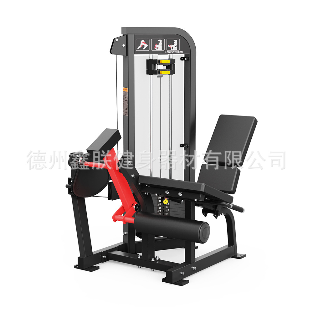 짐 해머 스트렝스 장비 세트, 플랫 벤치 프레스 하이  - Home Gym Hammer Strength 리뷰 및 가격