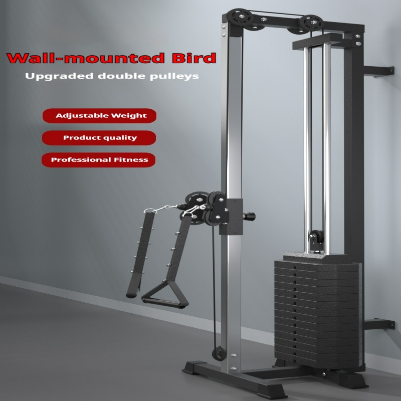균형추가 있는 벽걸이형 플라잉 버드 종합 트레이닝 기구 - Vertical Leg Press 리뷰 및 가격